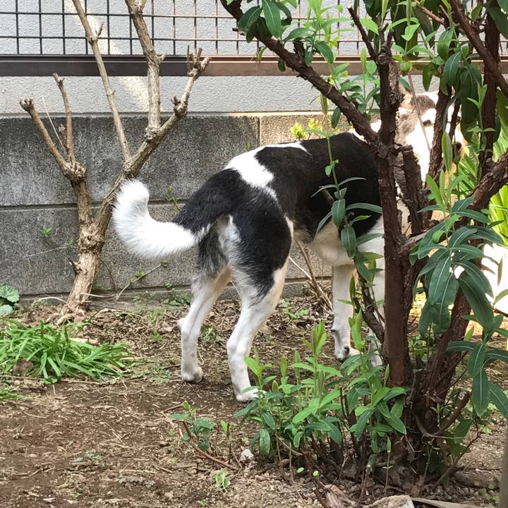 76fcdbd1 62ab 4891 aefd 5b59f277ee17