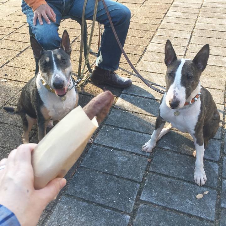 76fd5b58 fd7f 41cc a8b2 8680761d8936