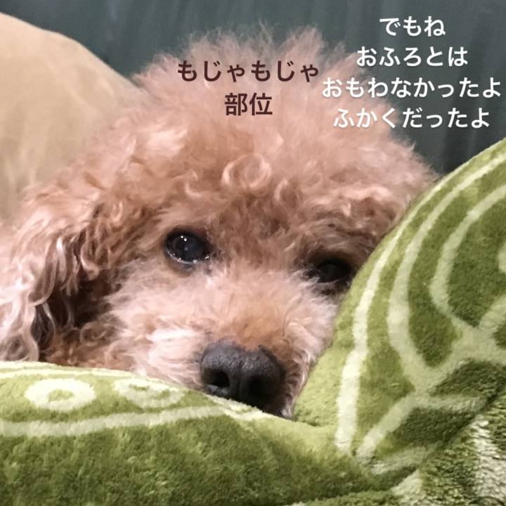 76fdb84f 3aa9 4efe 8f76 7e461e144dc1