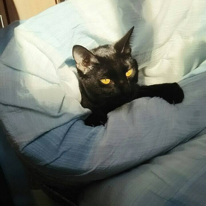 76fe532d 03e6 4a39 a5d4 ad66d0eb5376