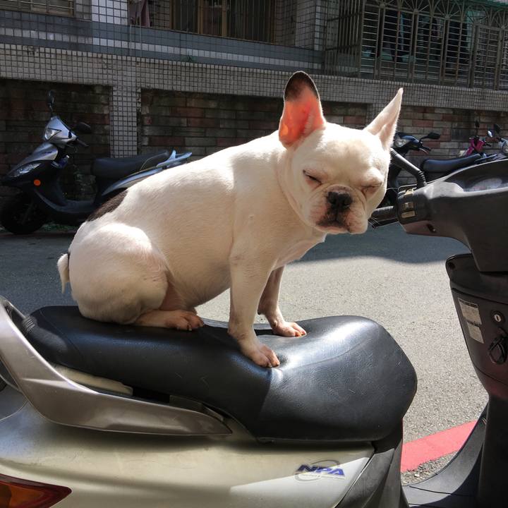 76fe569f 9ec1 464e b1f5 9b35e5664457