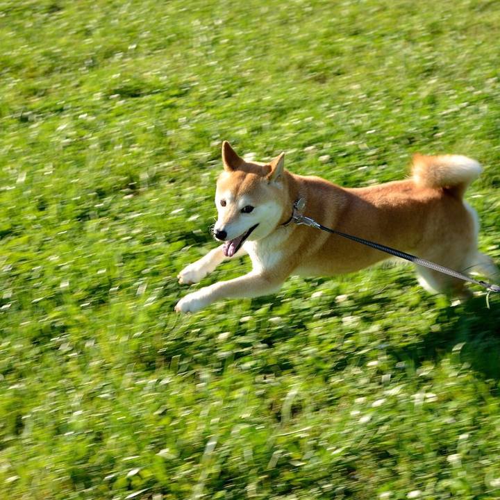 76fe575d c913 4a06 ad39 e46a216e2a73