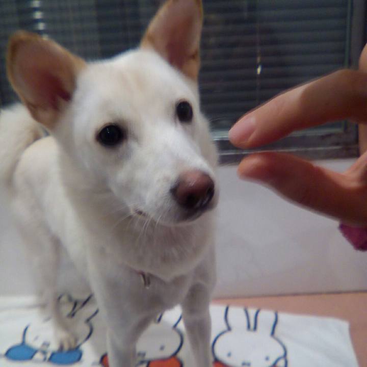 76fe620d c8a6 4425 a867 c49fb8f70e25