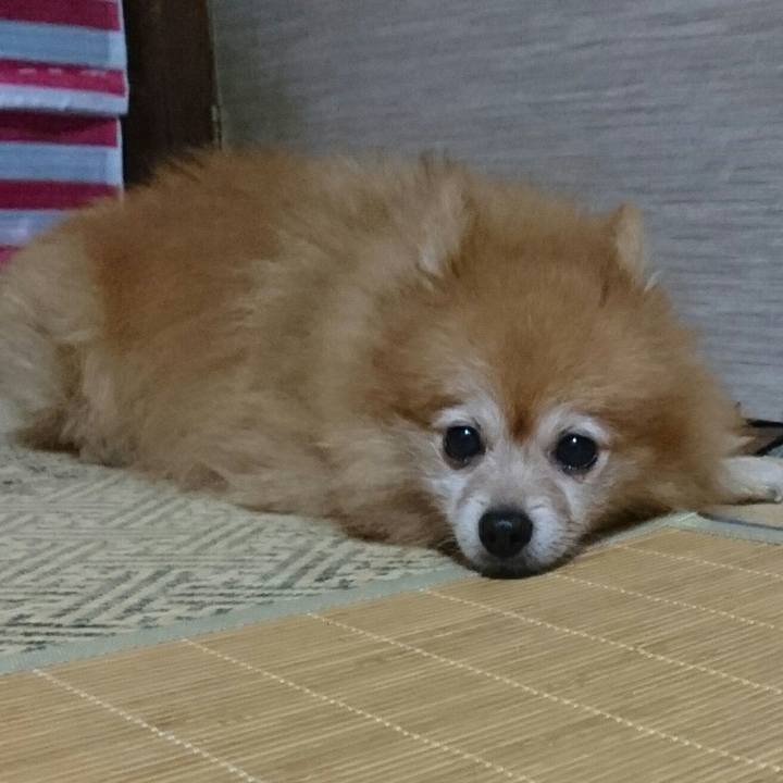 76fe73b3 1449 45c7 aab5 6b6dcb92a45c