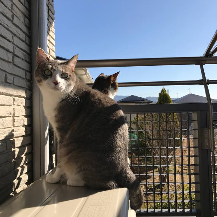 76fe7634 8ba3 434f 858f ceeb46daf495