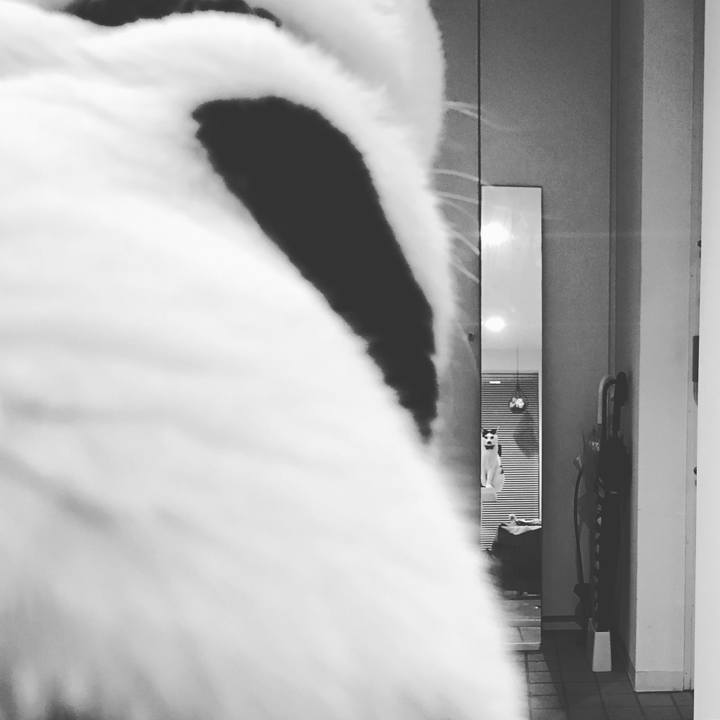 76ff0233 892f 4465 915f b67b7f921553