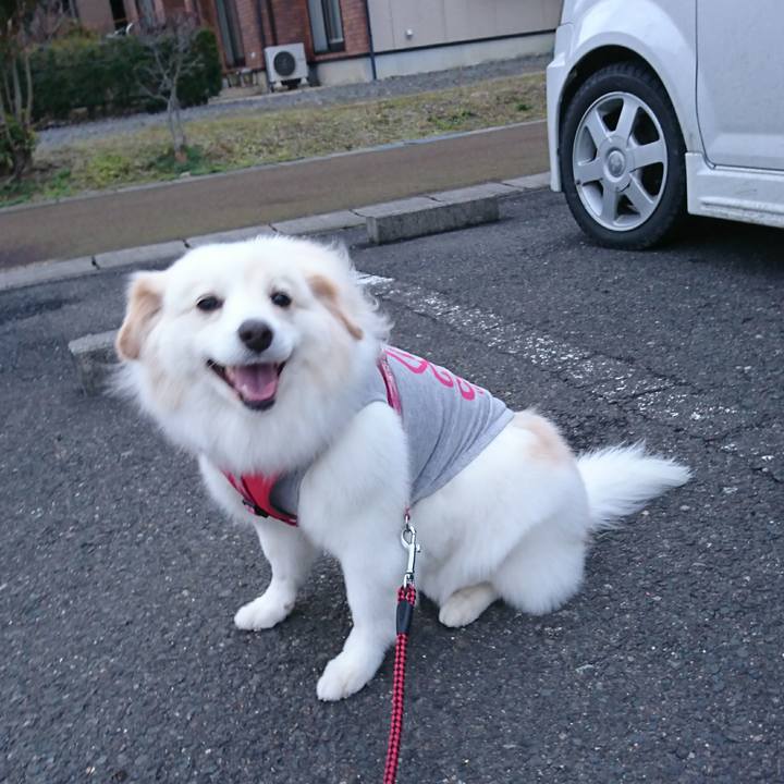 76ff2a2e f73c 47d1 a40e 25e40f0c0658