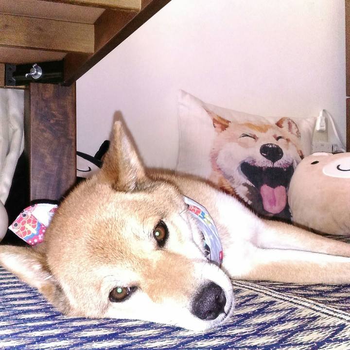 76ff3b20 1882 494c b28b 38964ab00241