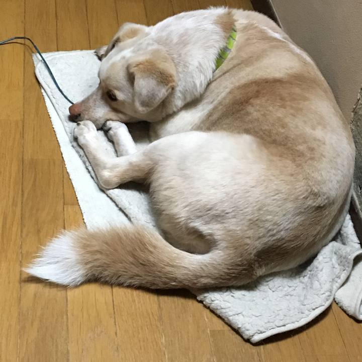 76ff6ae5 d2db 4256 a913 085fb5da7629