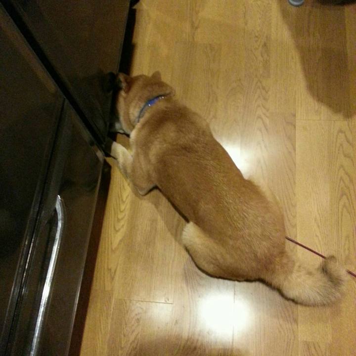 76fff3f1 e35e 4b47 bddc 2e7180878113