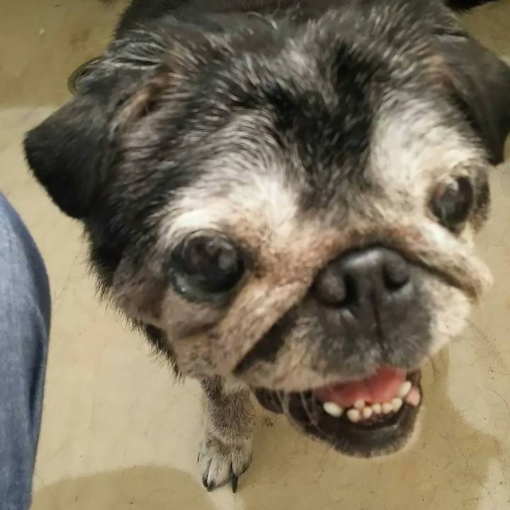 77001c24 bca9 433f 81d3 1f043f2cf4ae