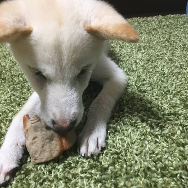 770037d7 ed50 4b41 9f5d c384e24e72da