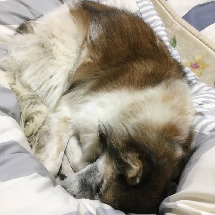 770081c8 ff00 45e0 a201 8ea76c0627b0