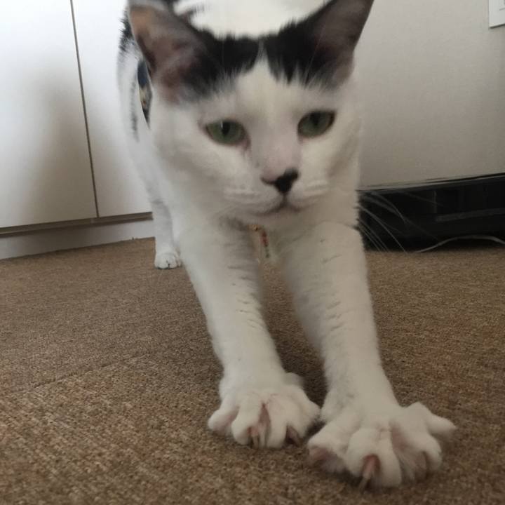 7701b960 fc86 41fe b24a 135621fe99f1