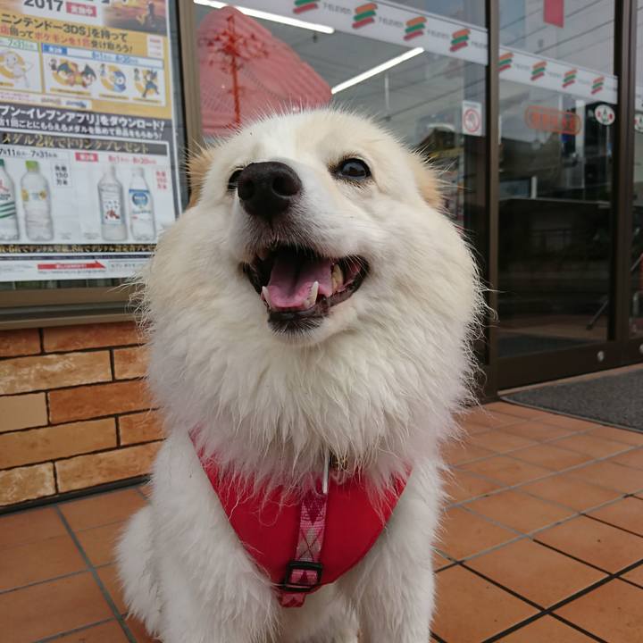 77021678 9424 4e69 b9fb afa0c8fa9c48