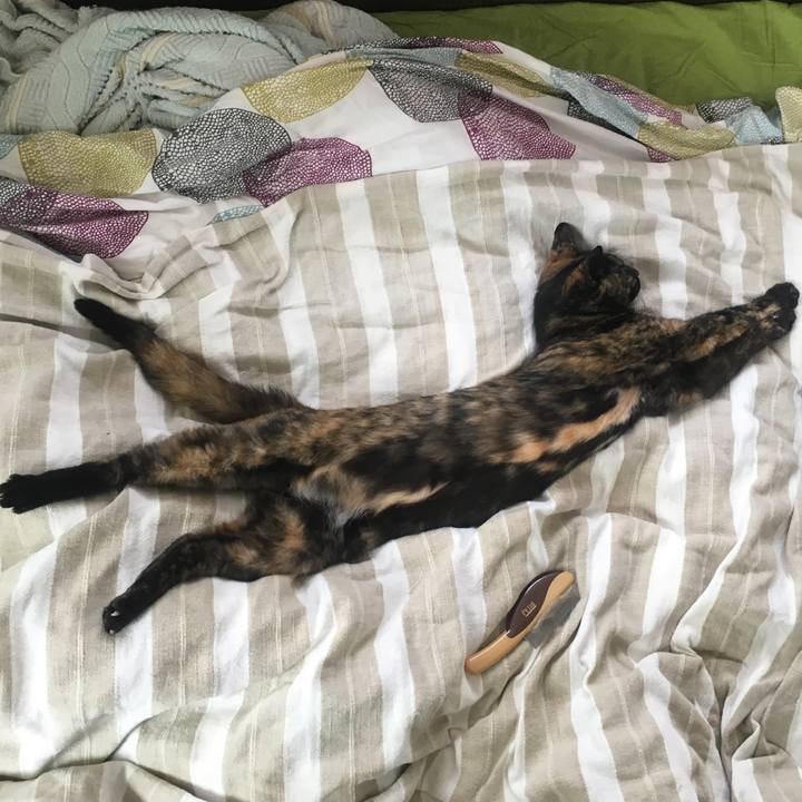 77030aea c27c 4165 9e3f 9e0de9effe30