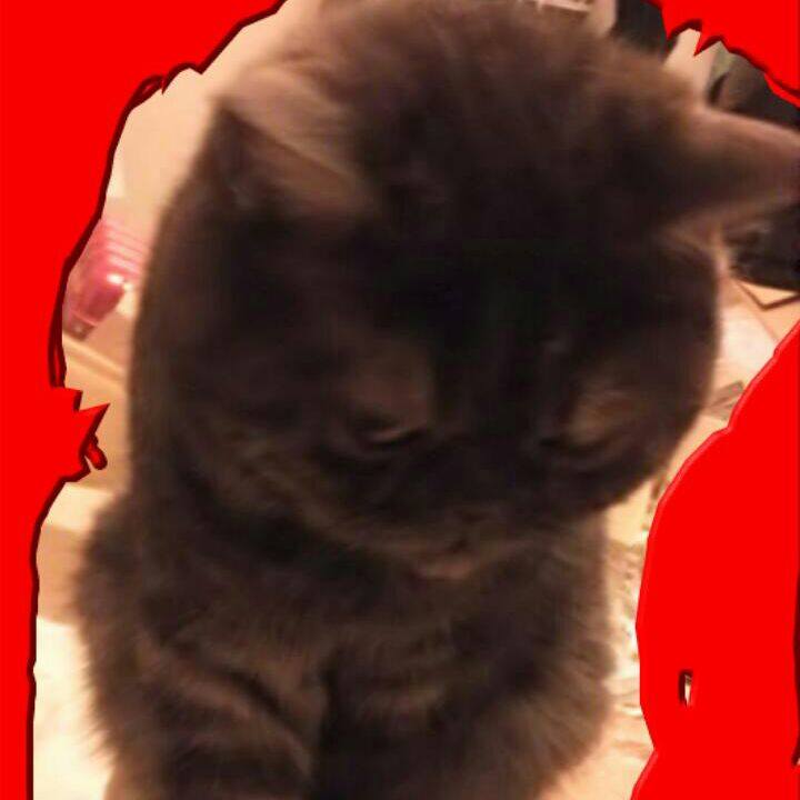 7703c65b fc7f 45a4 b46e 4f83043c67a4