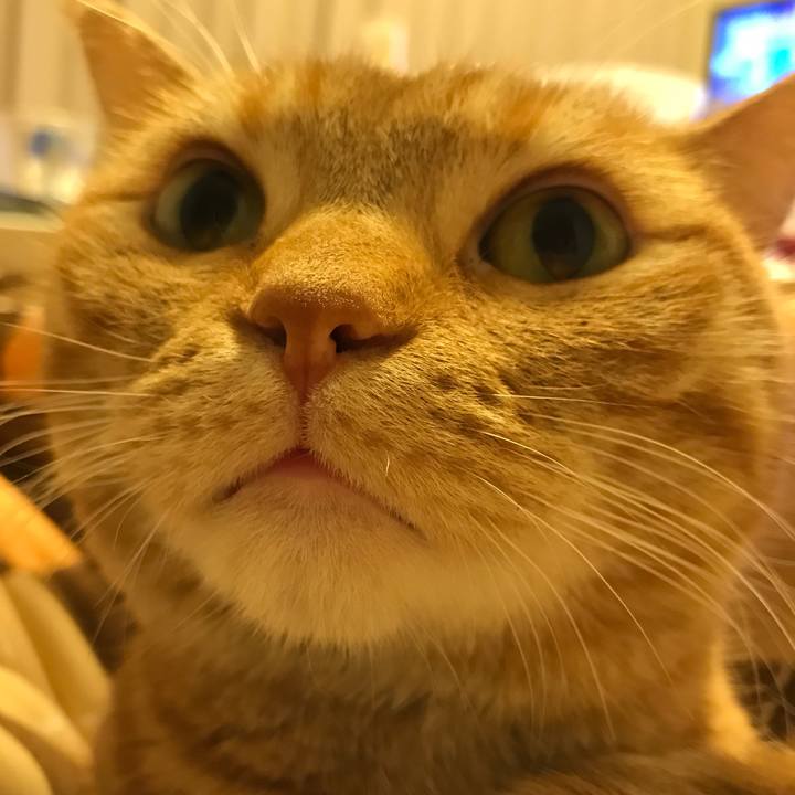 77047ae0 ca3b 4ca6 8583 48178cd5e1f0