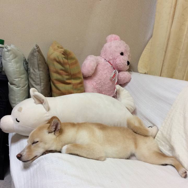 7704af53 cec8 483a a746 60ce7047b42a