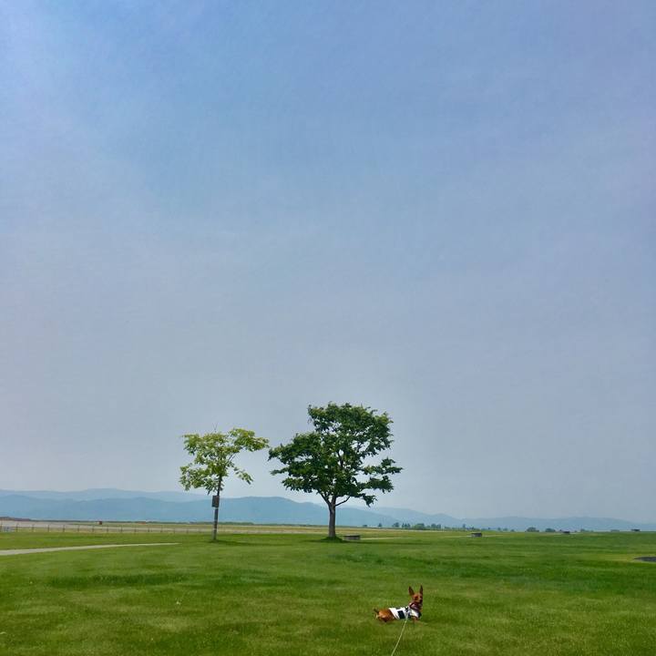 7704bc00 8eeb 4357 8538 8953099e5ed0