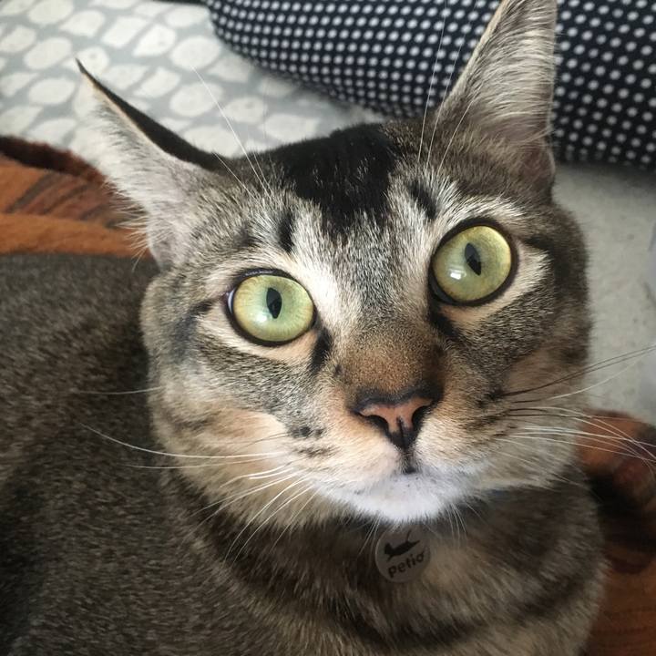 770580ff 61f8 443d bfe3 0e9e399f09ff