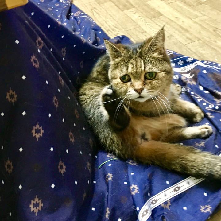 77059c1e 397d 40c6 9ff4 a1b56822c011