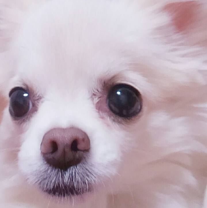 7705d36d 6ed0 4e71 a91d c187d7be908a