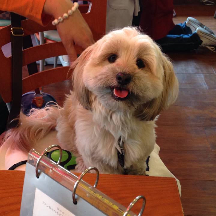 7705e8f2 4c3e 4212 805e 4ed22b8d4536