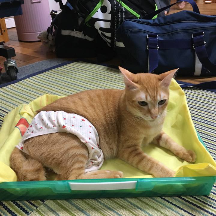 7705f849 835c 4285 b9d3 c5425d9b72ee