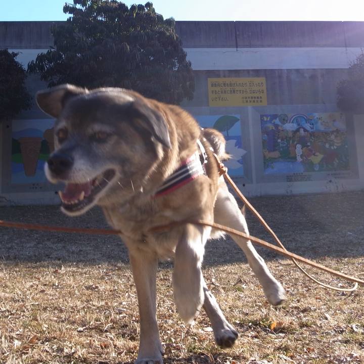 7706415d c2c6 41ce a47f 3767d7ff6593