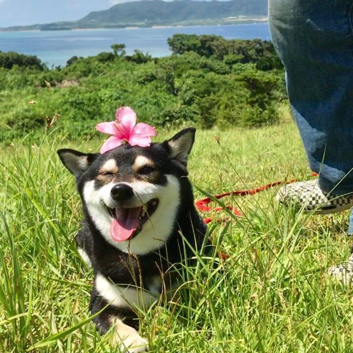 7706ae28 263f 4506 89c7 b149d1e626a7