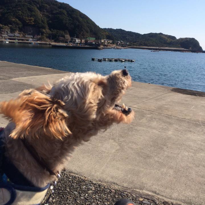 7706ff28 19d4 41c8 834c 9667d6ddadc7