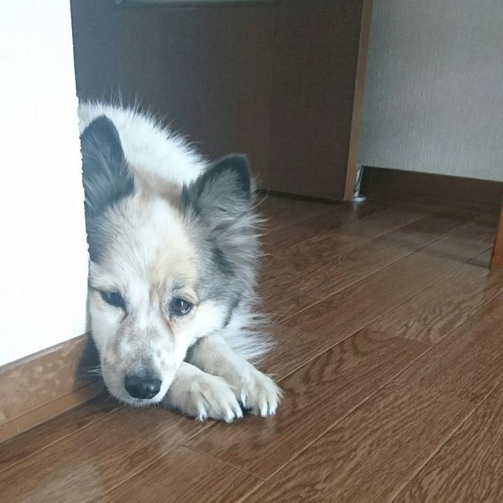 77070596 763b 4dcc 9a91 1642243f0a98