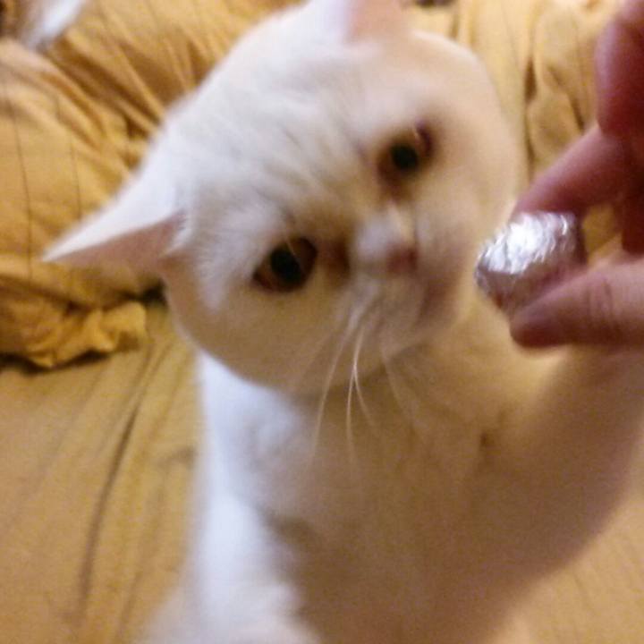 77072d6d f4b1 4c69 b25a 3b0cc9dd887d