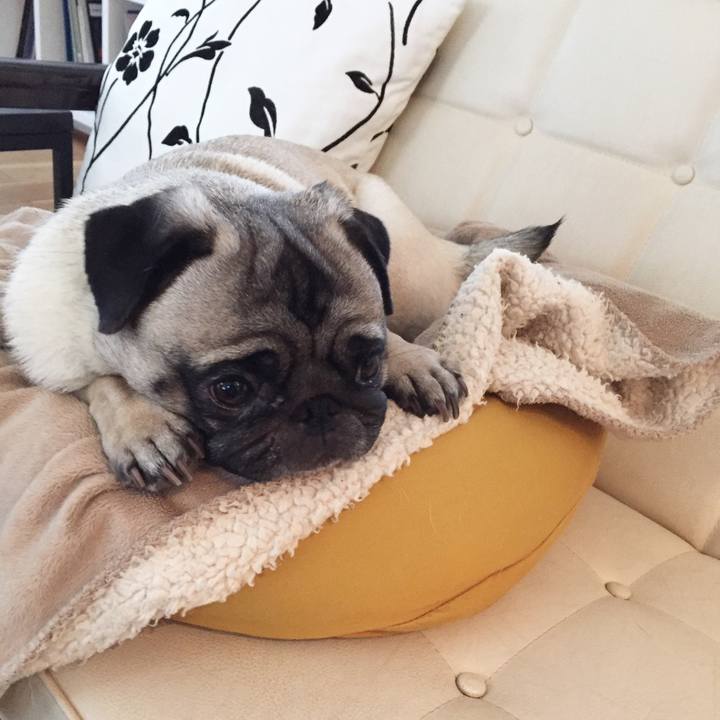 77077ba4 6d45 4fd3 a352 63053791c775