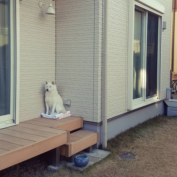 7707ba98 891c 4f60 bf24 a6da377629b9