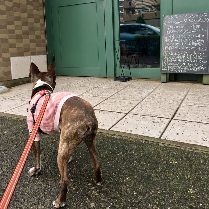 7708a86b 9987 4fe7 a3c9 8863c3417af8