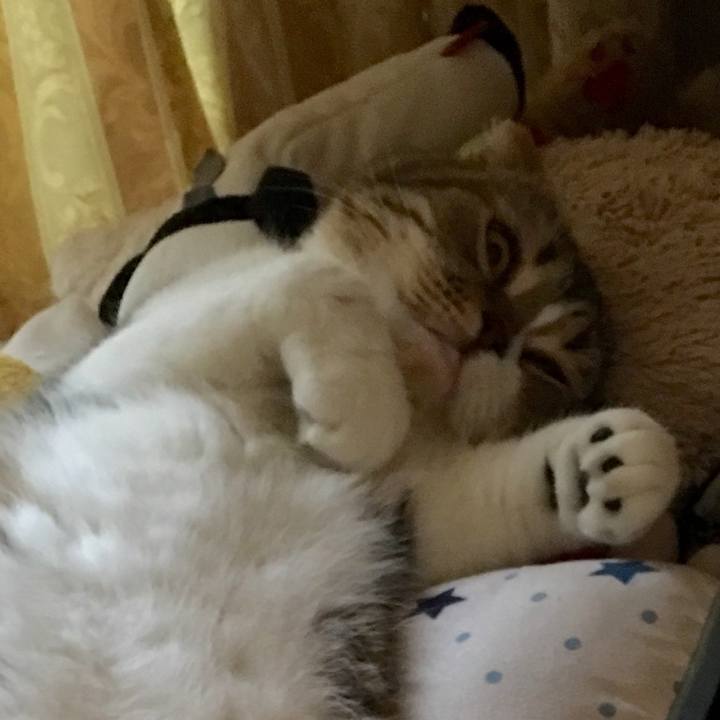 770a0689 8965 46c3 b696 5cbd41824be5