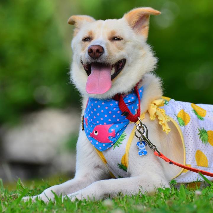 770a55ae 4004 4478 92a8 9a4bd6249f82