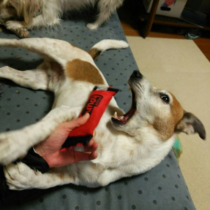 770b5a36 3fee 4f5b b717 c8ad3eaab491