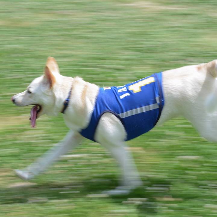 770bc767 86ad 49b7 afbe 411b2c17c58b