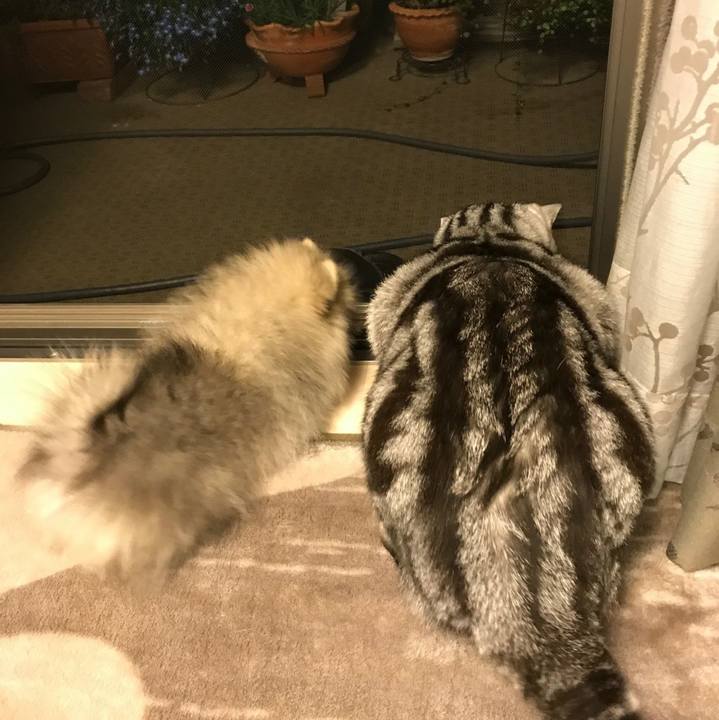 770bec06 88dd 4a99 ac7f addc2a327a0a