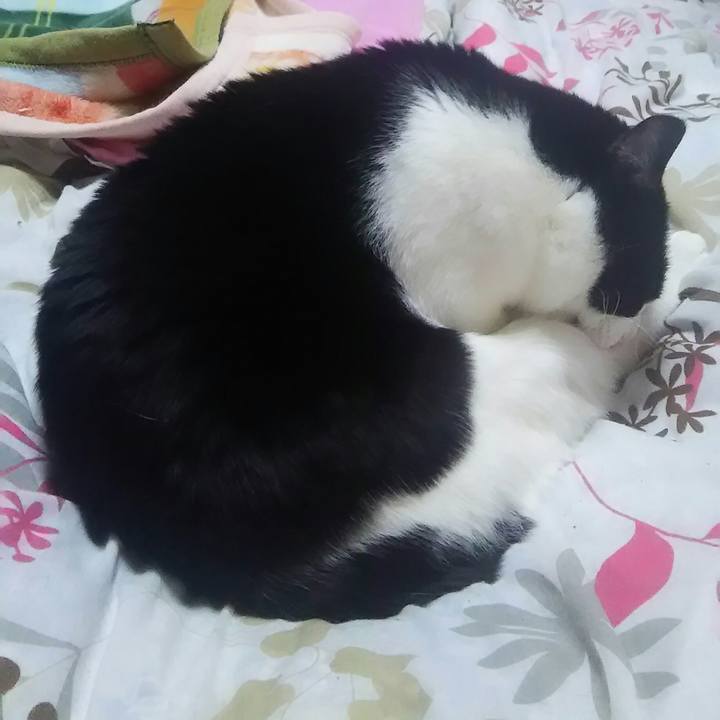 770d362c 4e9d 4da6 81d1 46ce8af61365