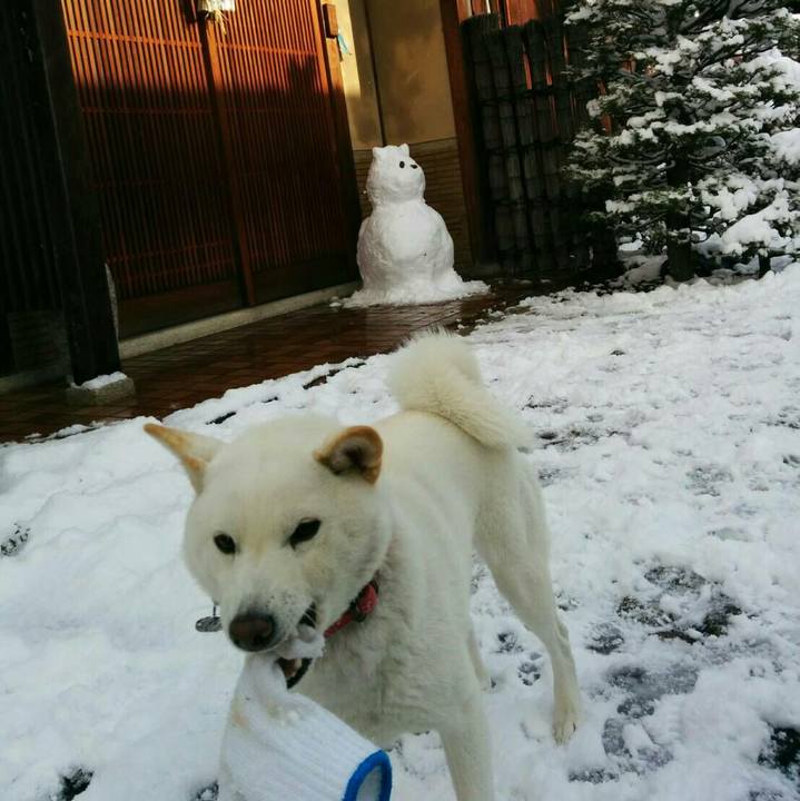 770d6476 ec02 4133 b56e adc773fb9b24