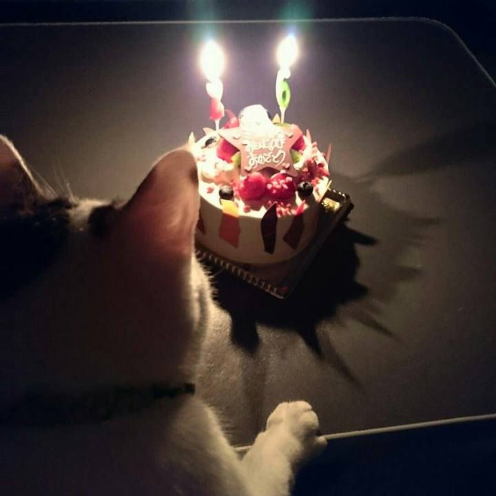 770d6823 28ab 4774 aa47 aab881c71d75