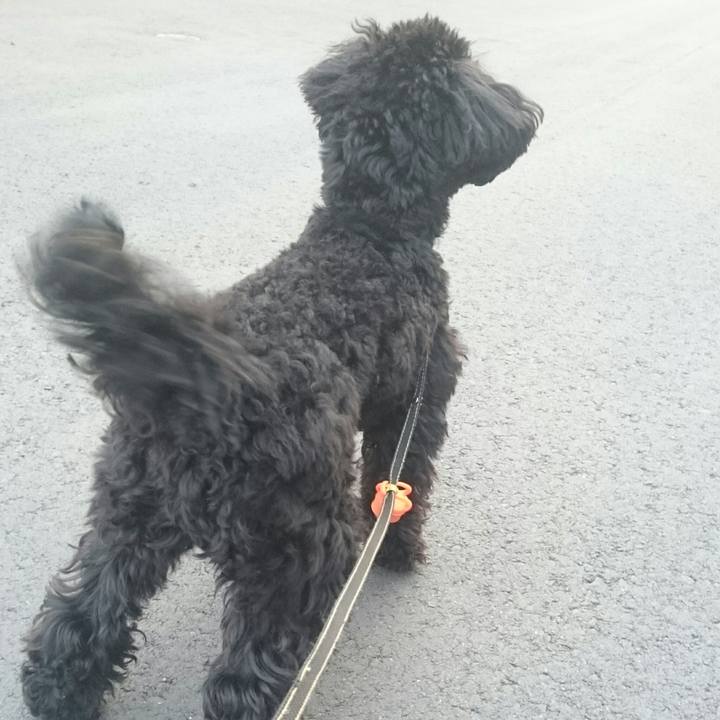 770e4a05 2b9e 4faa a83c 9b66eb62f43b