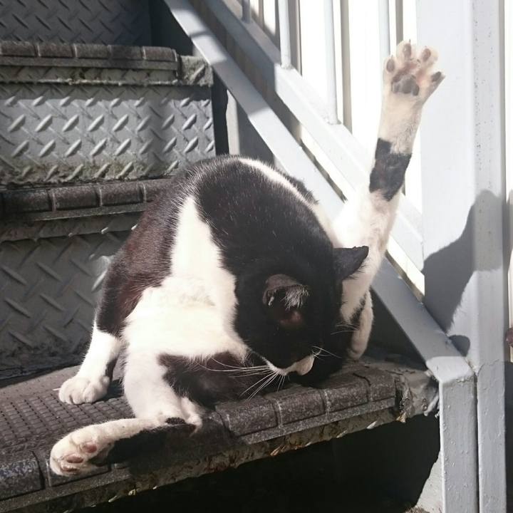 770e4bb3 a2a8 42ba a08d b2efbd40d3b2