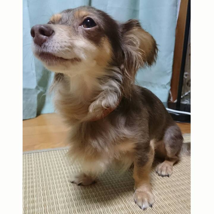 770eb8d8 77d4 45e4 8800 798a73c691d7