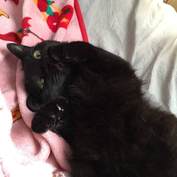 770ecd72 4e27 4a67 8d12 e17f8b28be1a