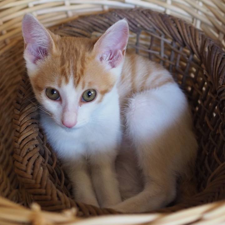 770f6b43 cdfd 4050 9c58 08b31c6f6e48